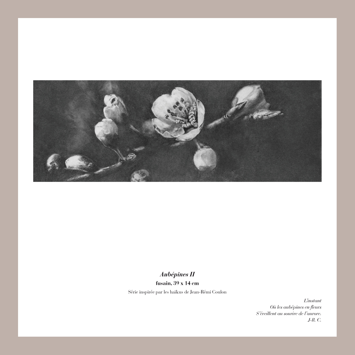 Aubepinesii