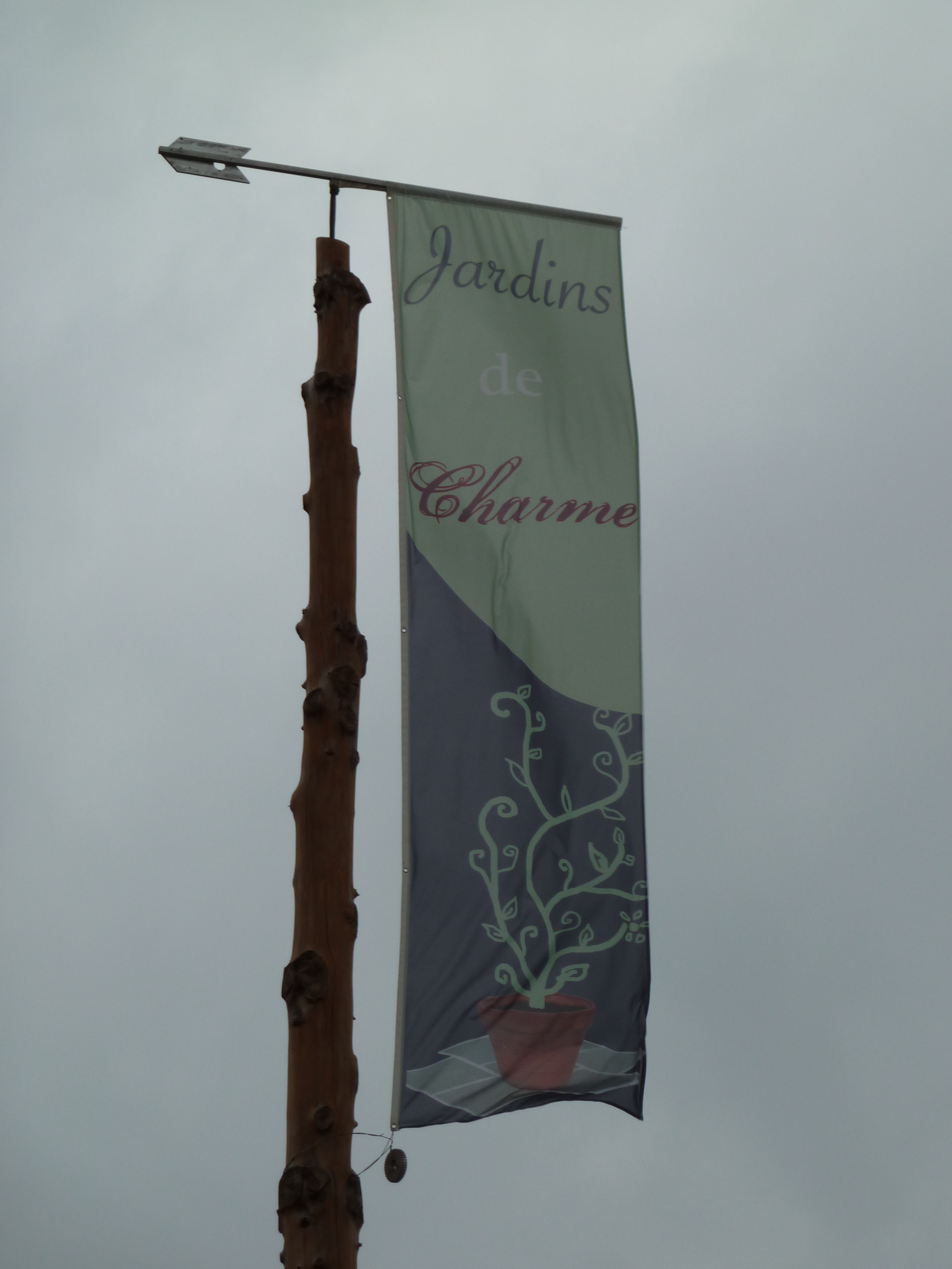 P1000144