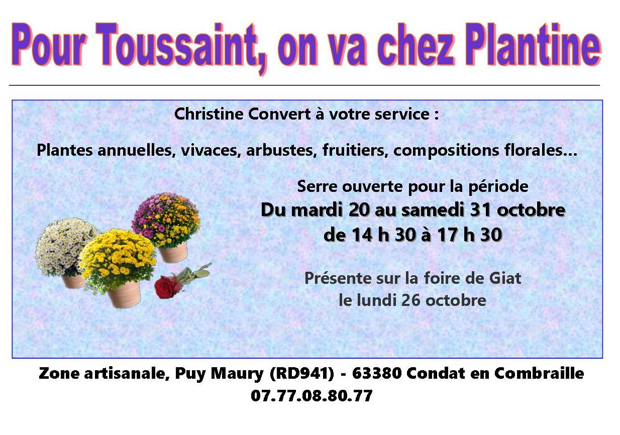 Pub-plantine