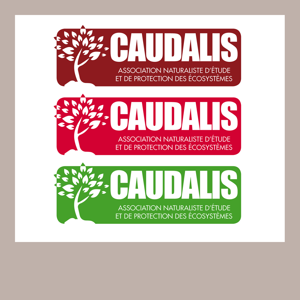 Logo01