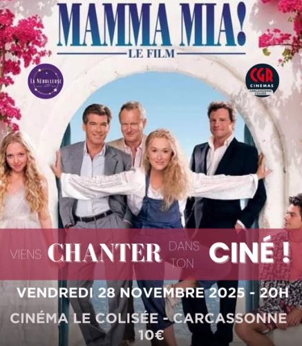 28 11 2025 11 carcassonne