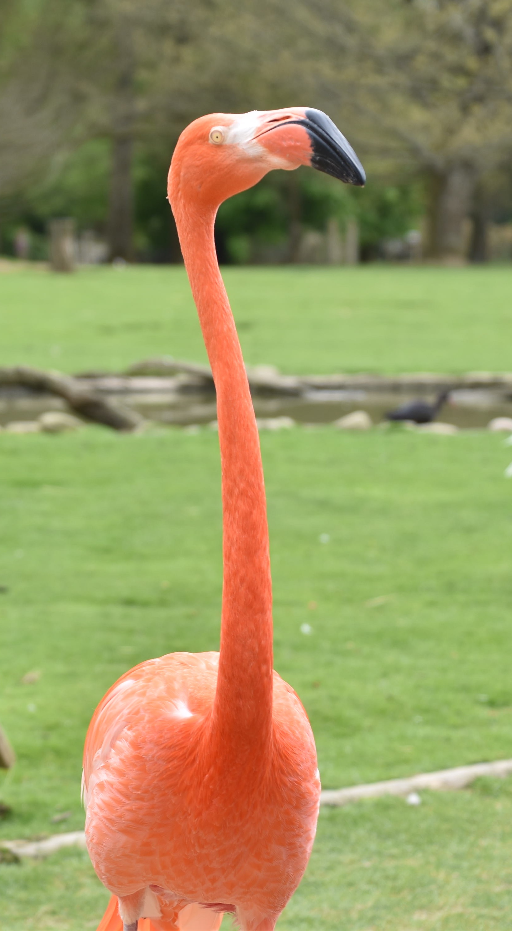 Dsc 0078