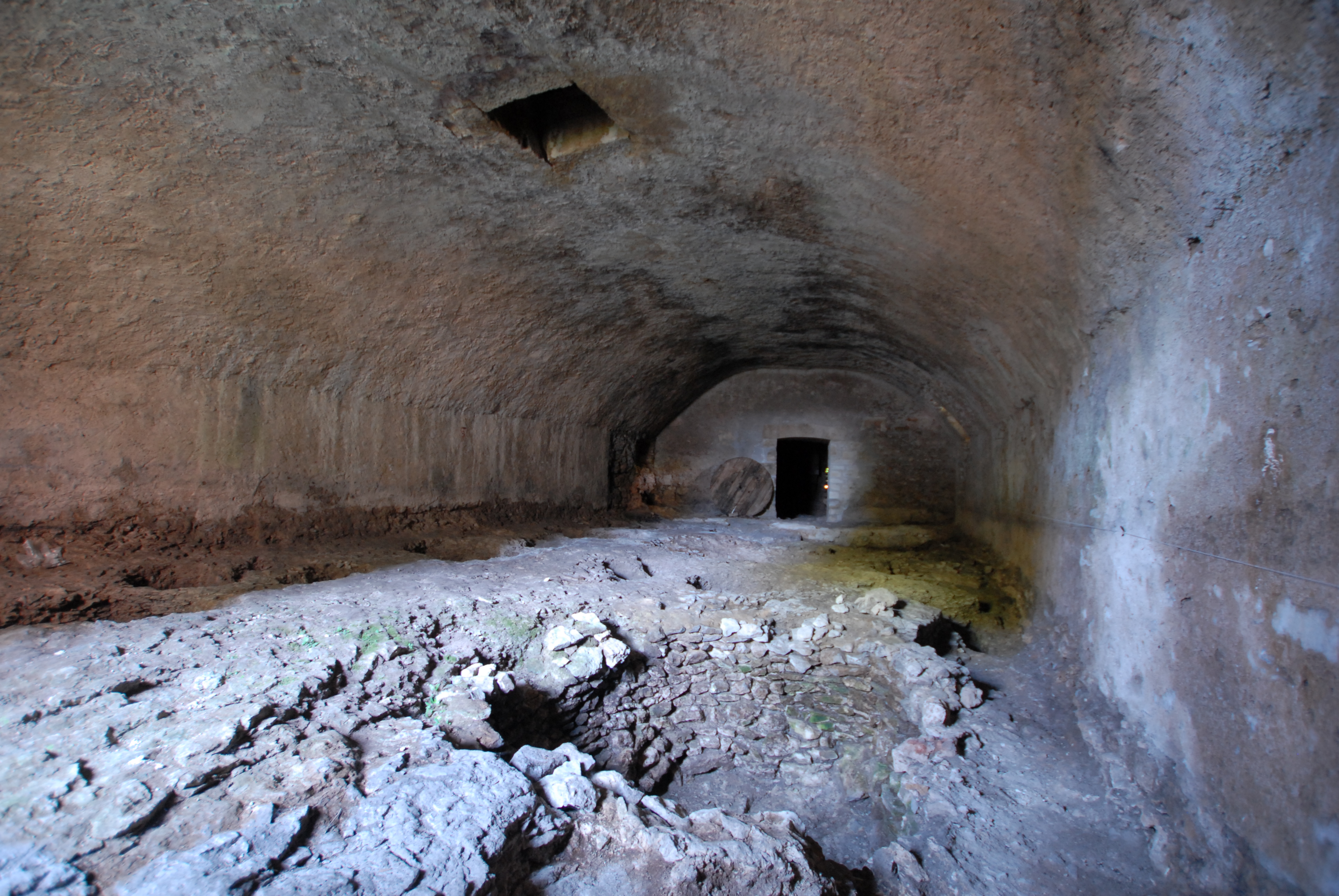 Caves 19 