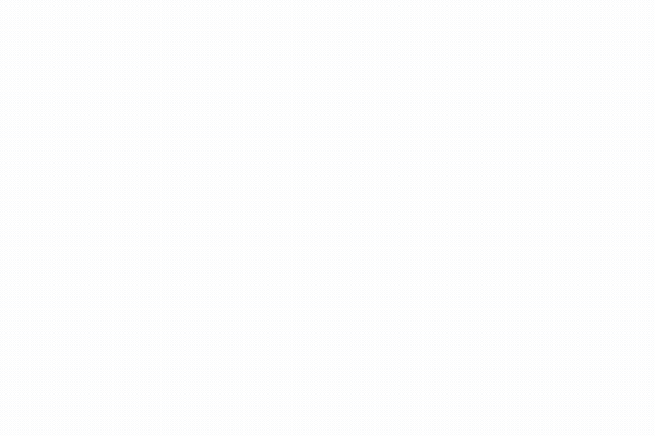 Logo-anime-3