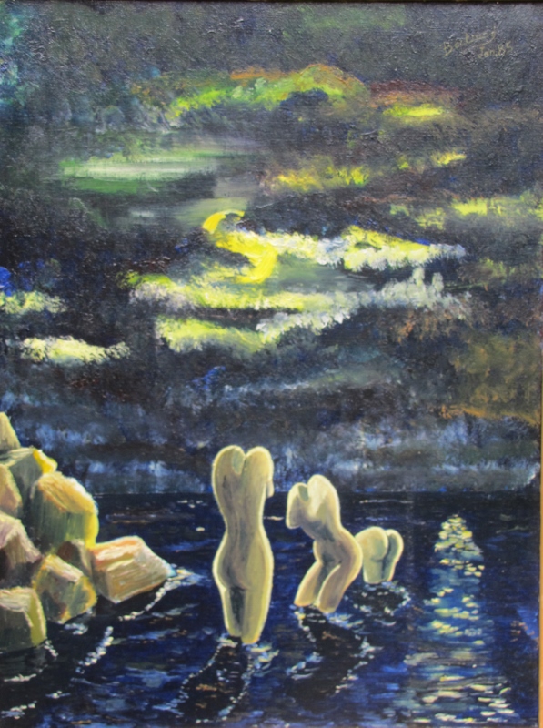 1985 01 12P minuit baie des fourmis