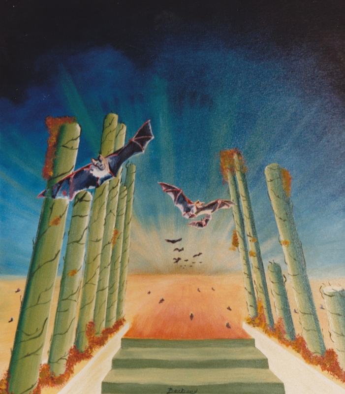 1987 02 10F ah quand t es triste chauve souris