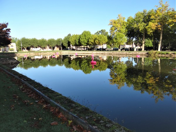 Dsc06033 2 le grand bassin terminal du canal de la sauldre