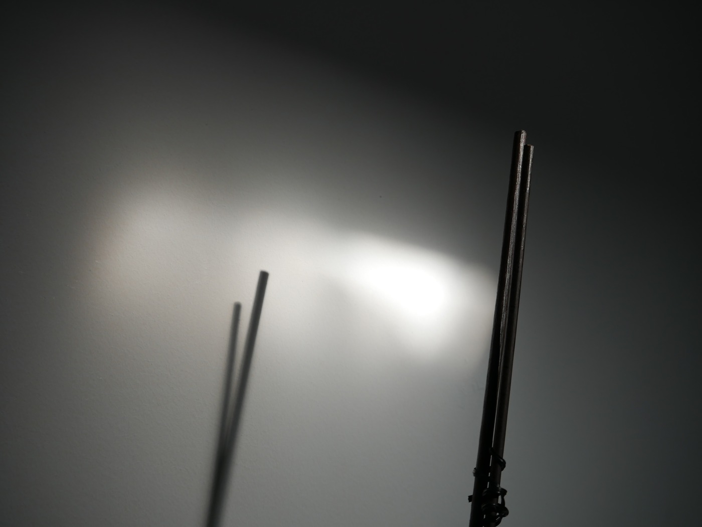 P1030449 rdx2