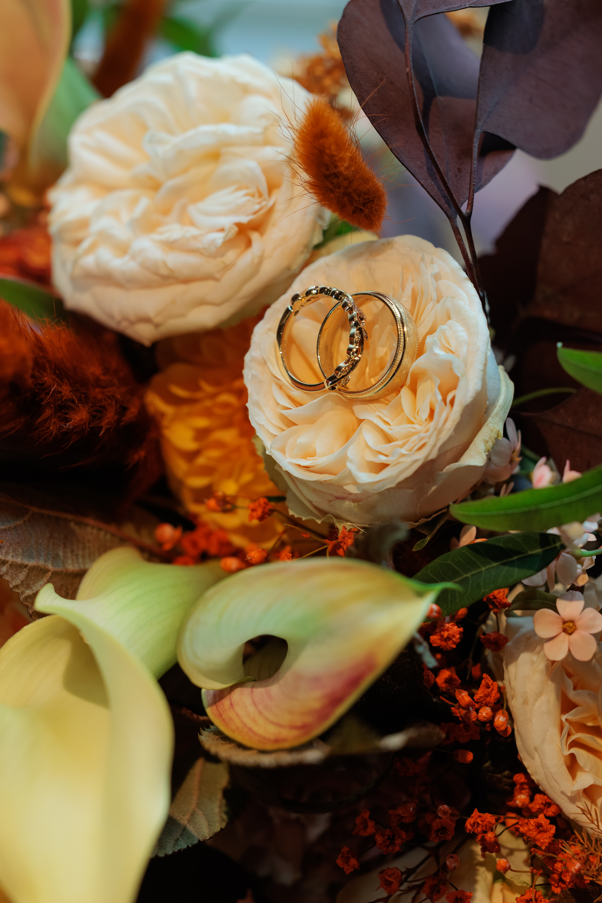 Mariage de e a web retouchees 15 sur 1295 