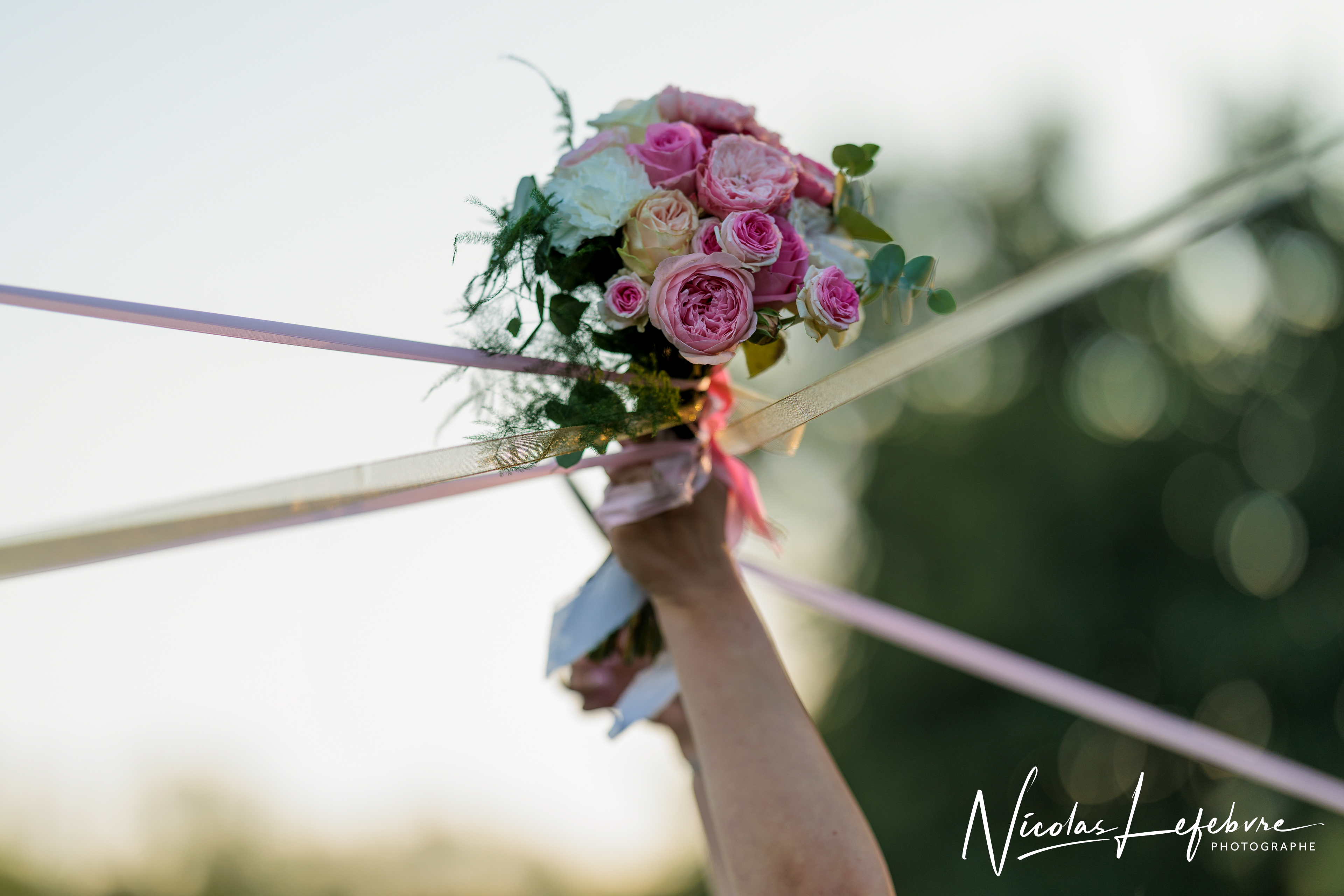 Mariage de t c signe 238 sur 310 