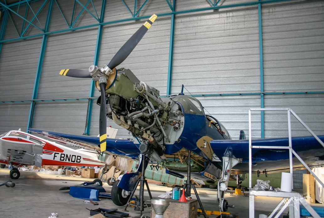 Hal 2003 2005 l enthousiasme 9