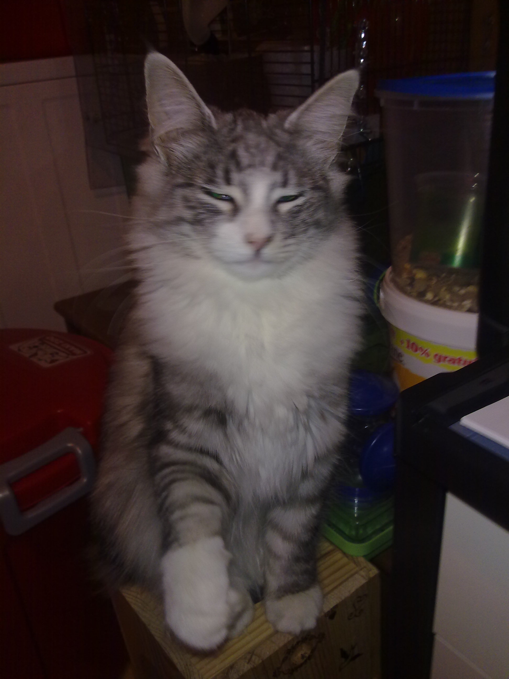 Photo091