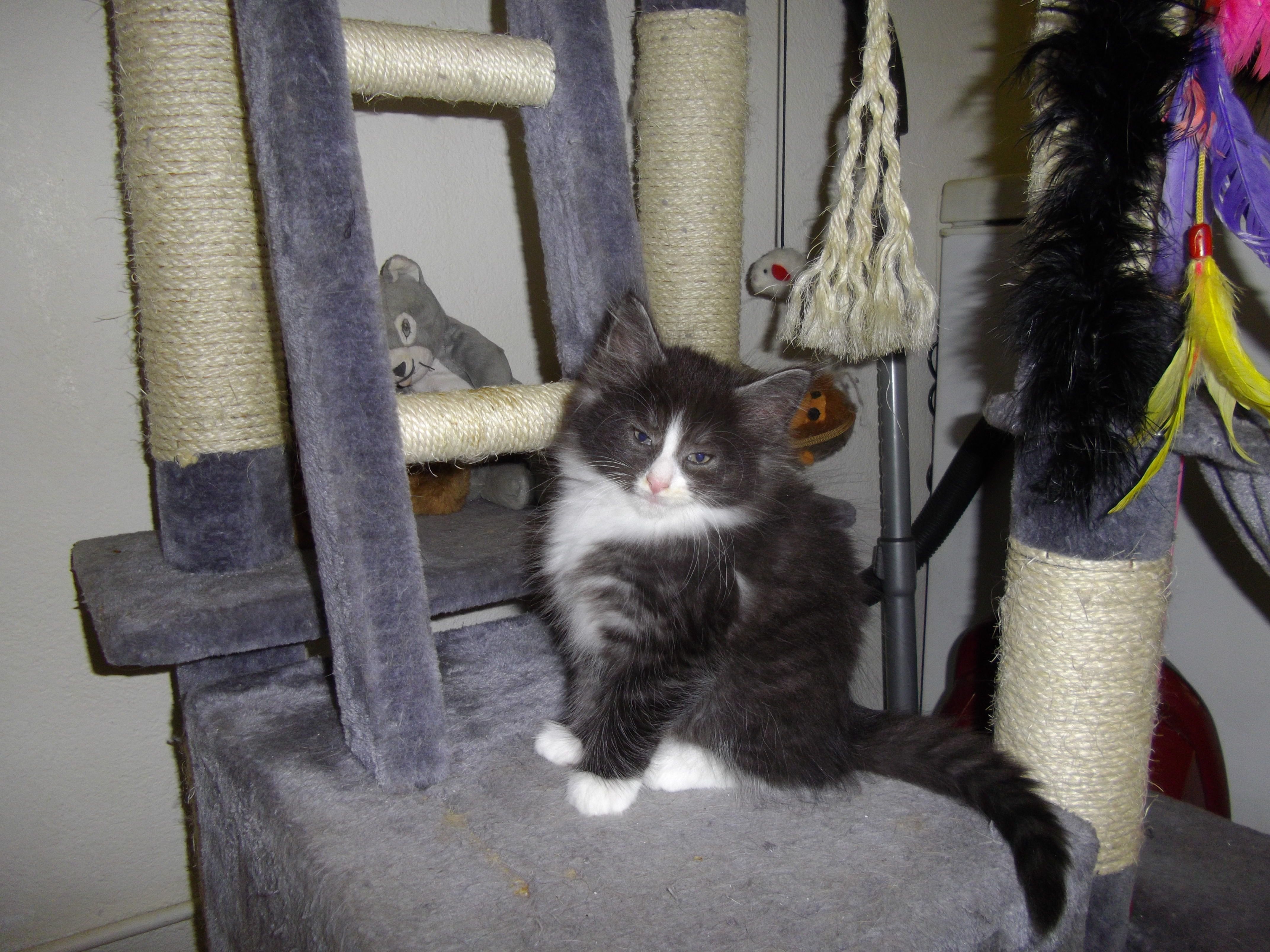 Imgp0446