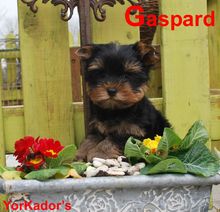 Gasparddepart
