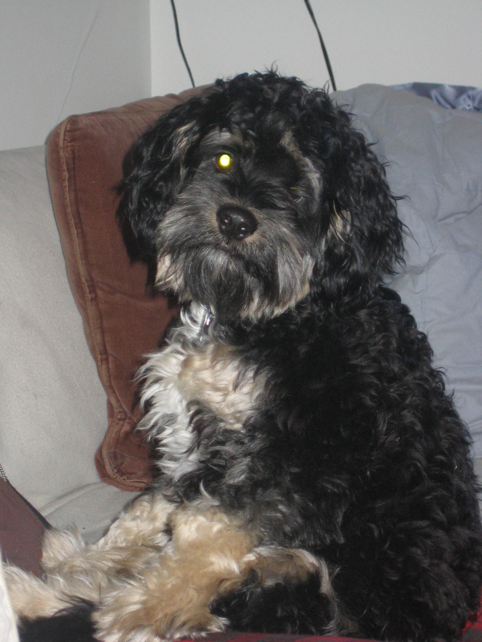 Cuba december 2011 001