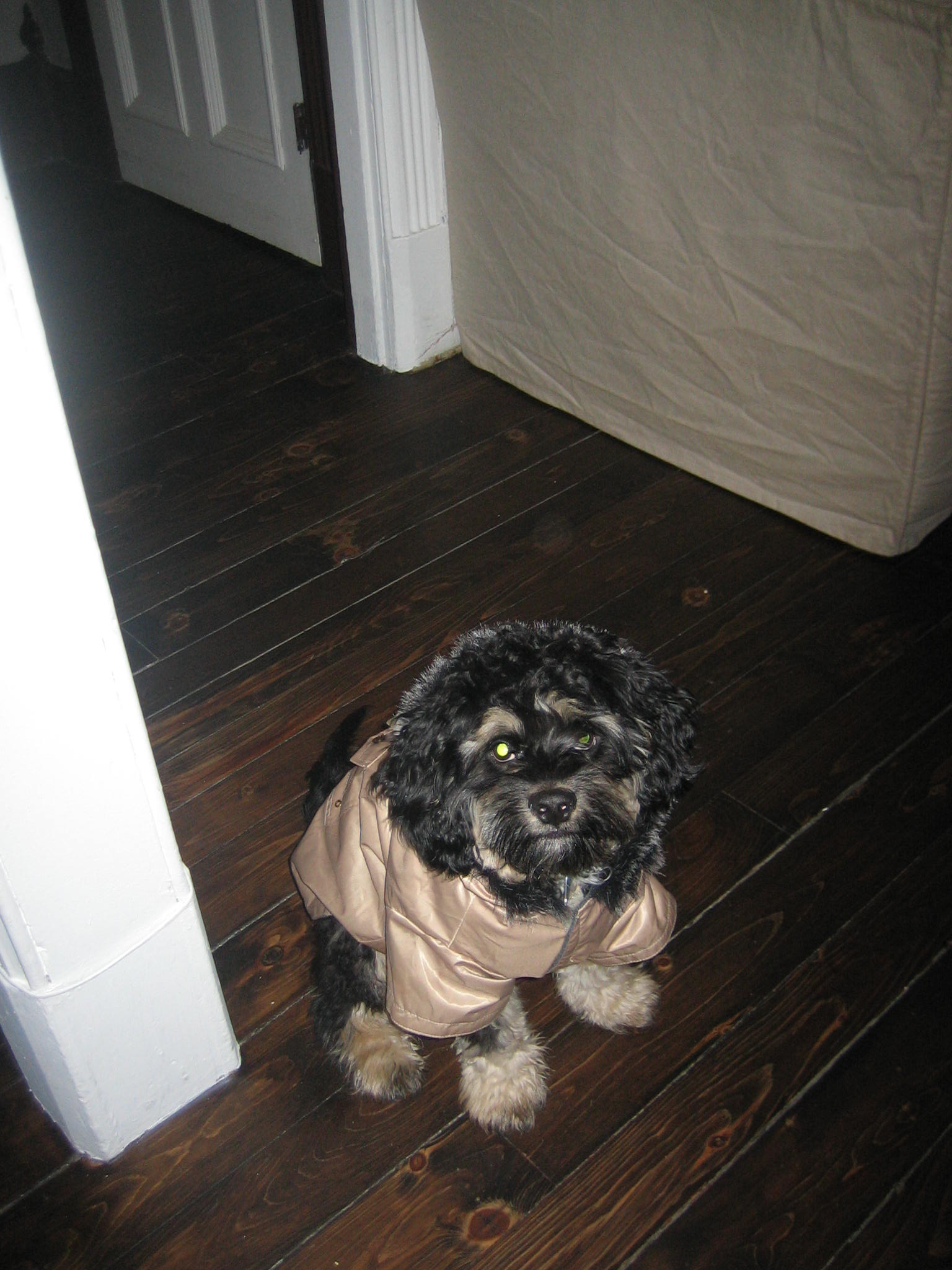 End of term party 023