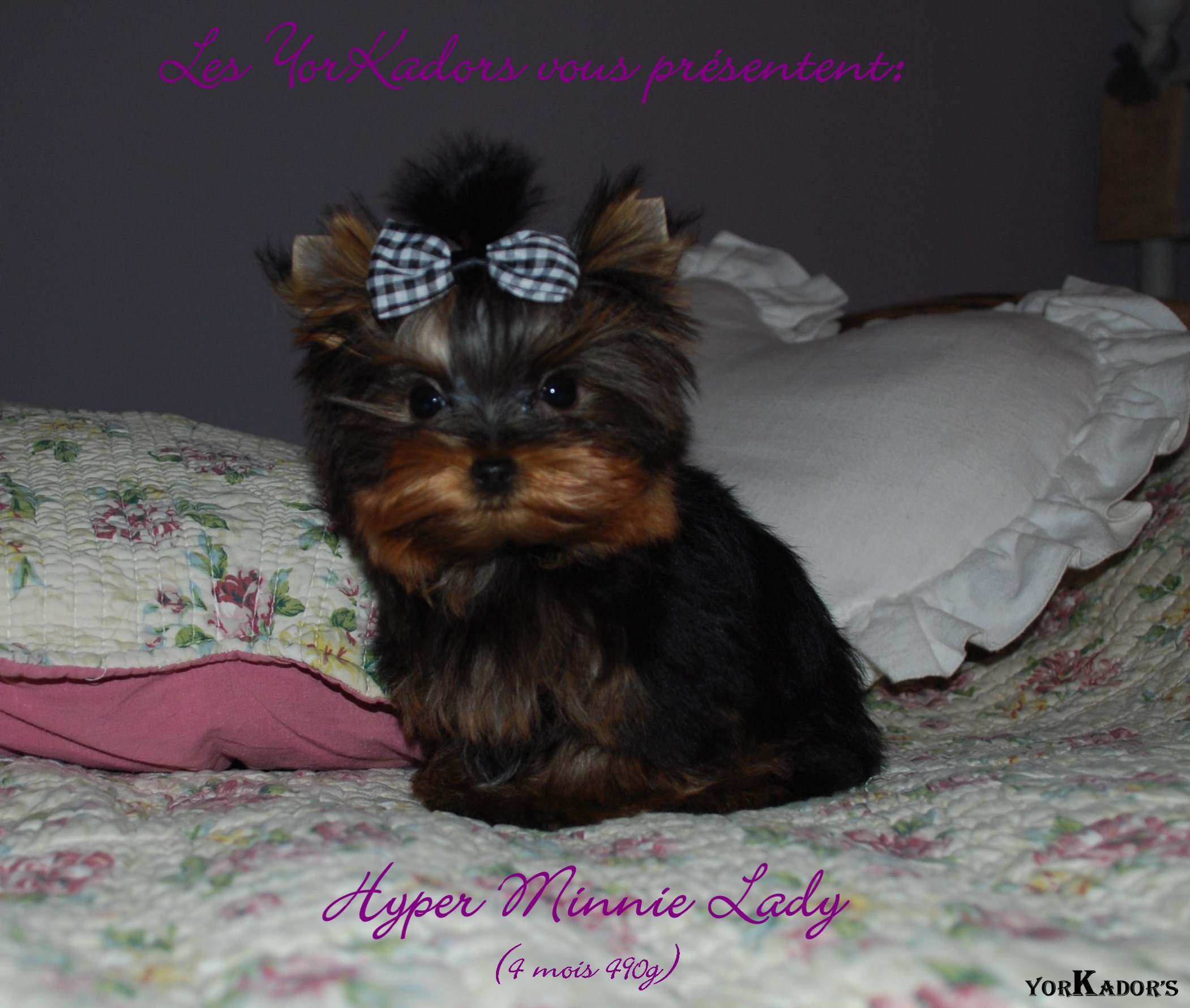 Hyperminnielady4m