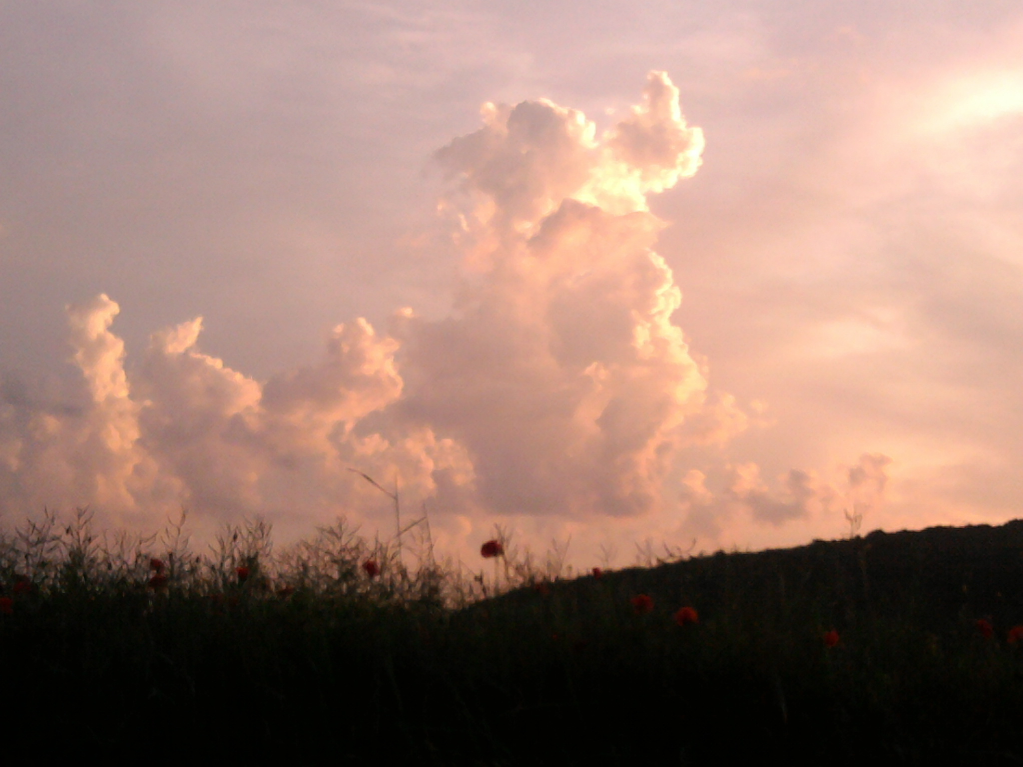 Nuage