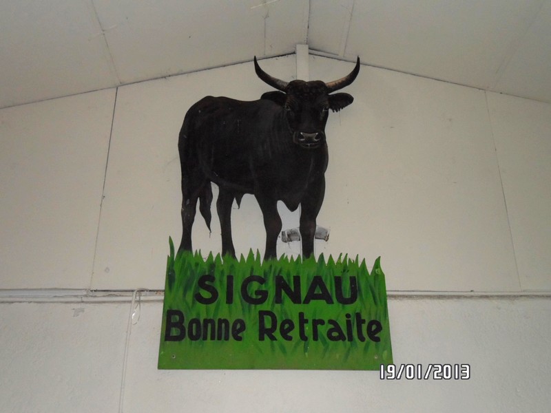 2013 01 19 gillet signau