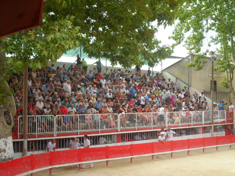 2013 07 28 public 1 
