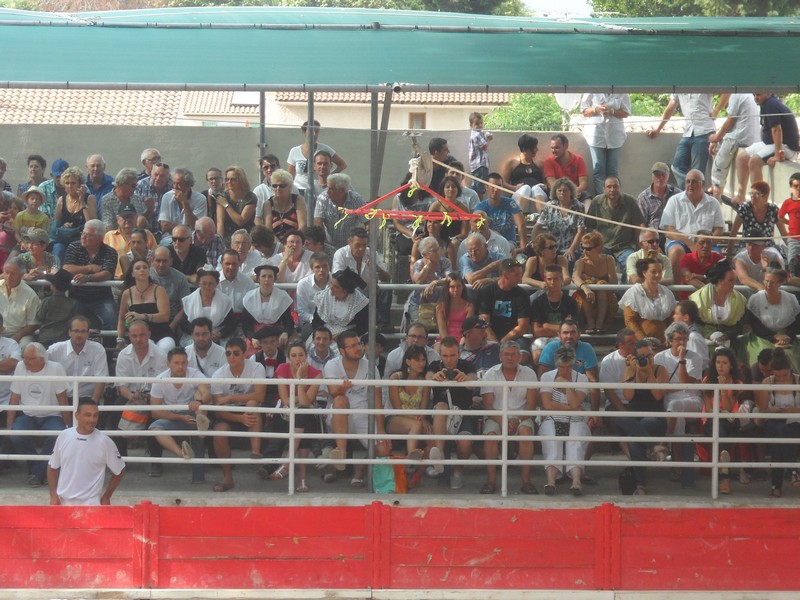 2013 07 28 public 4 