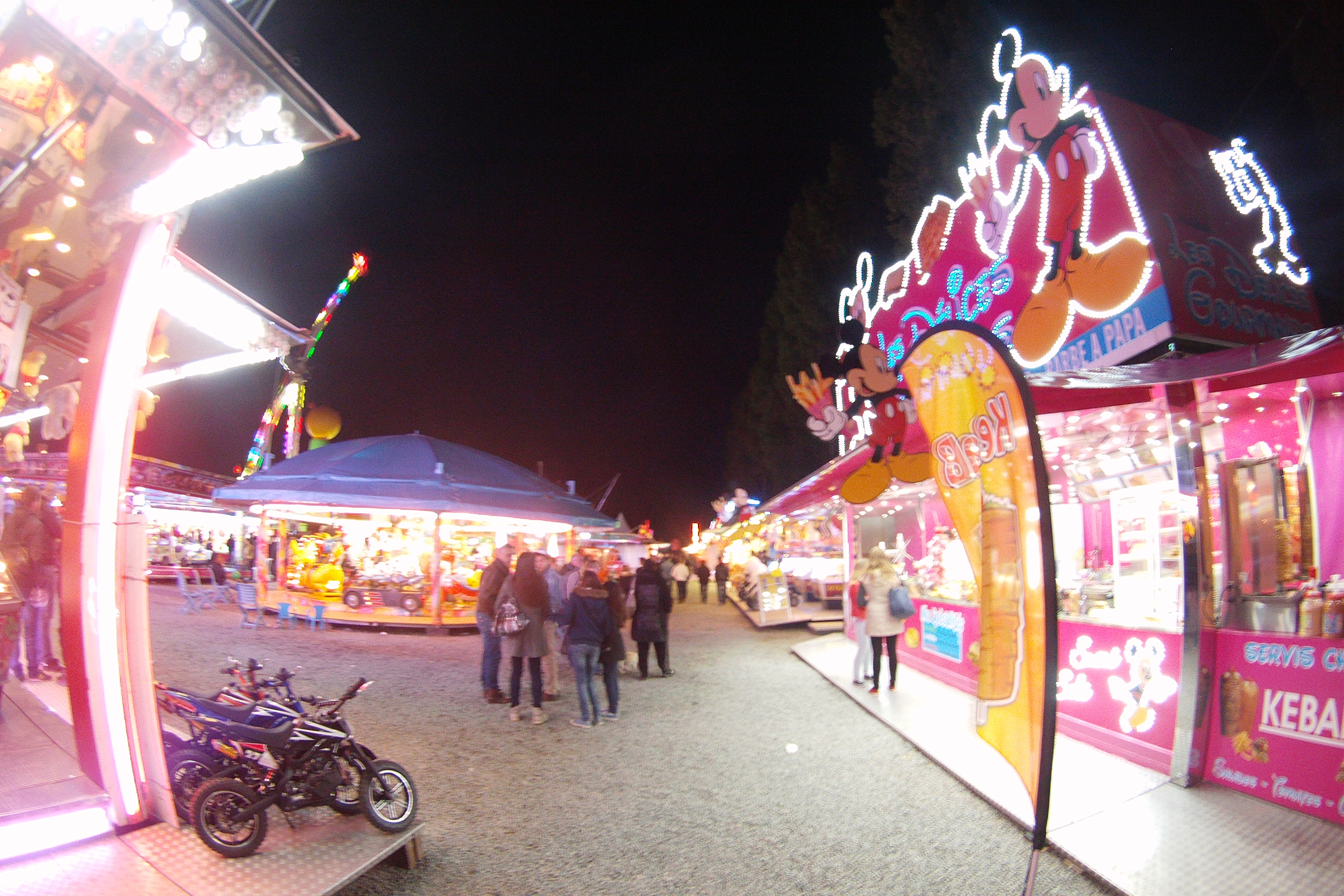 Eghi0458
