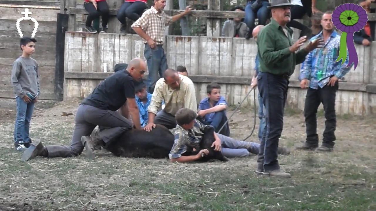 2014 05 31 ferrade manade du rhone 12