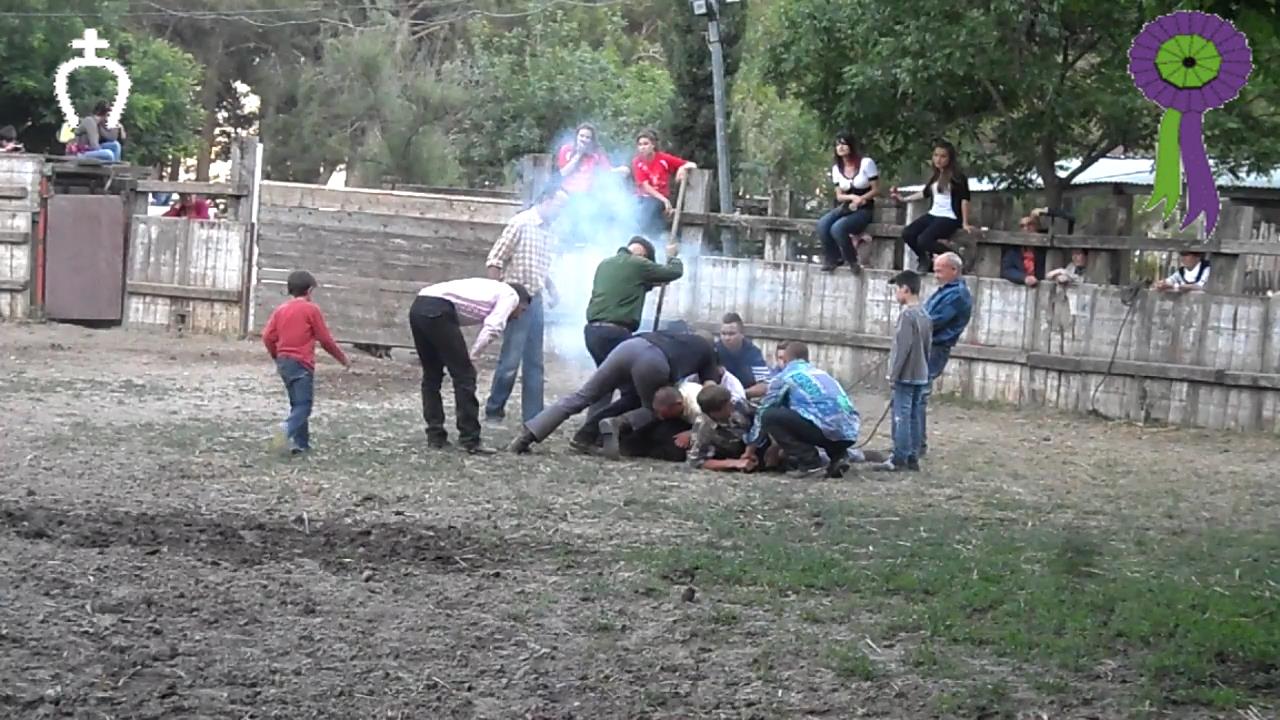2014 05 31 ferrade manade du rhone 14