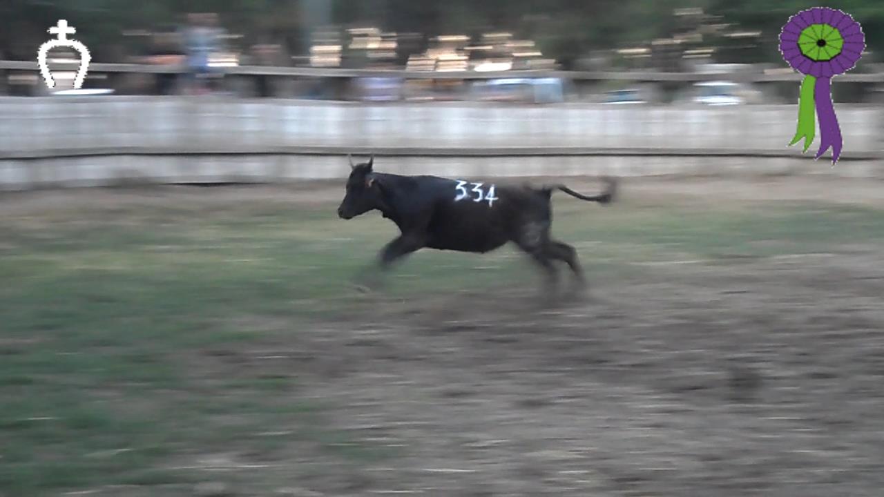 2014 05 31 ferrade manade du rhone 15