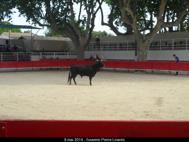 2014 05 08 entrainement 14 