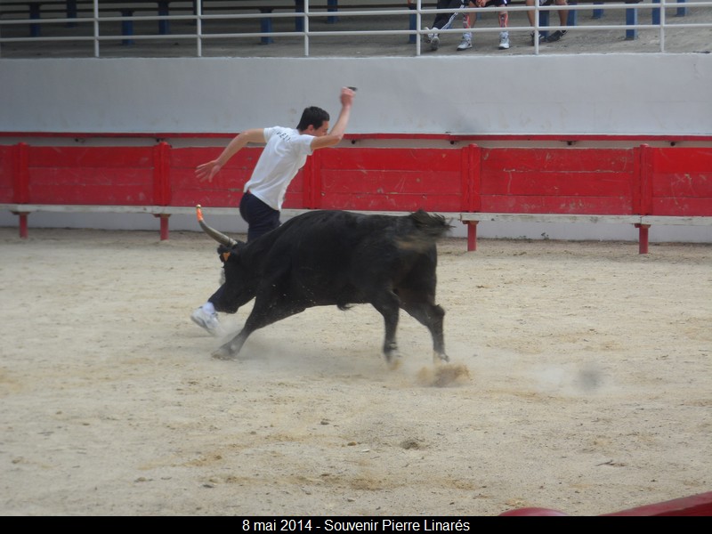 2014 05 08 entrainement 18 