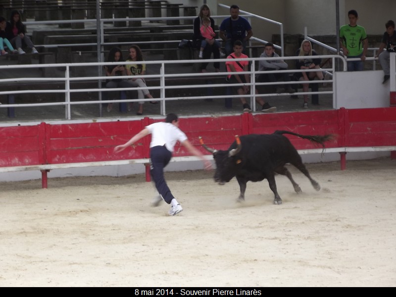 2014 05 08 linares0003