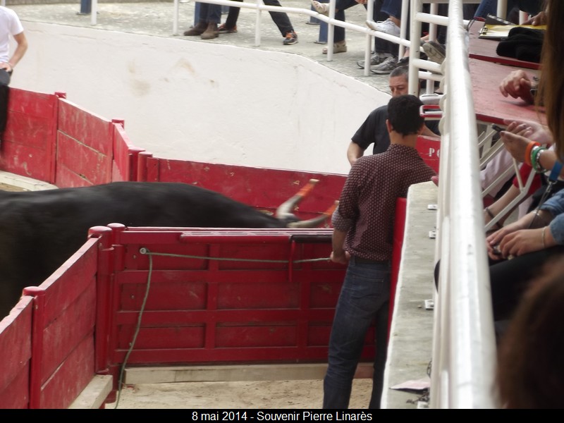 2014 05 08 linares0004