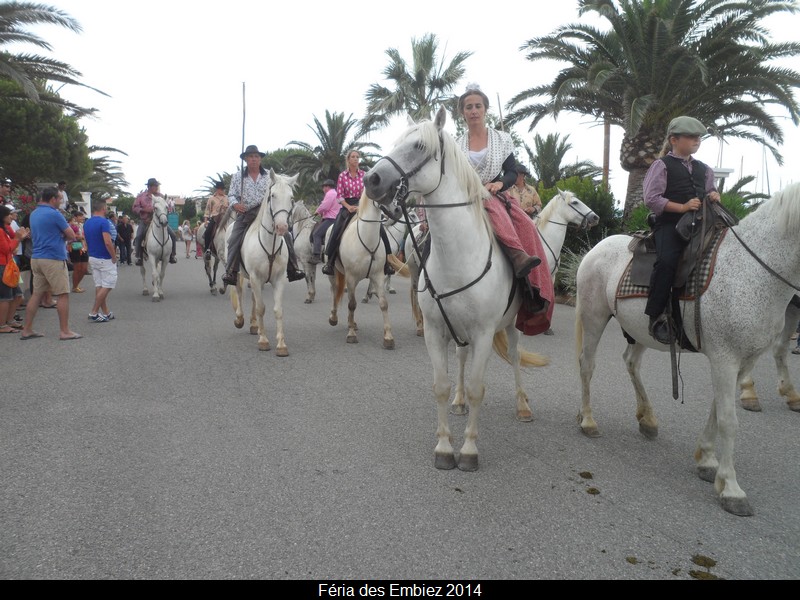 2014 06 28 Embiez0021