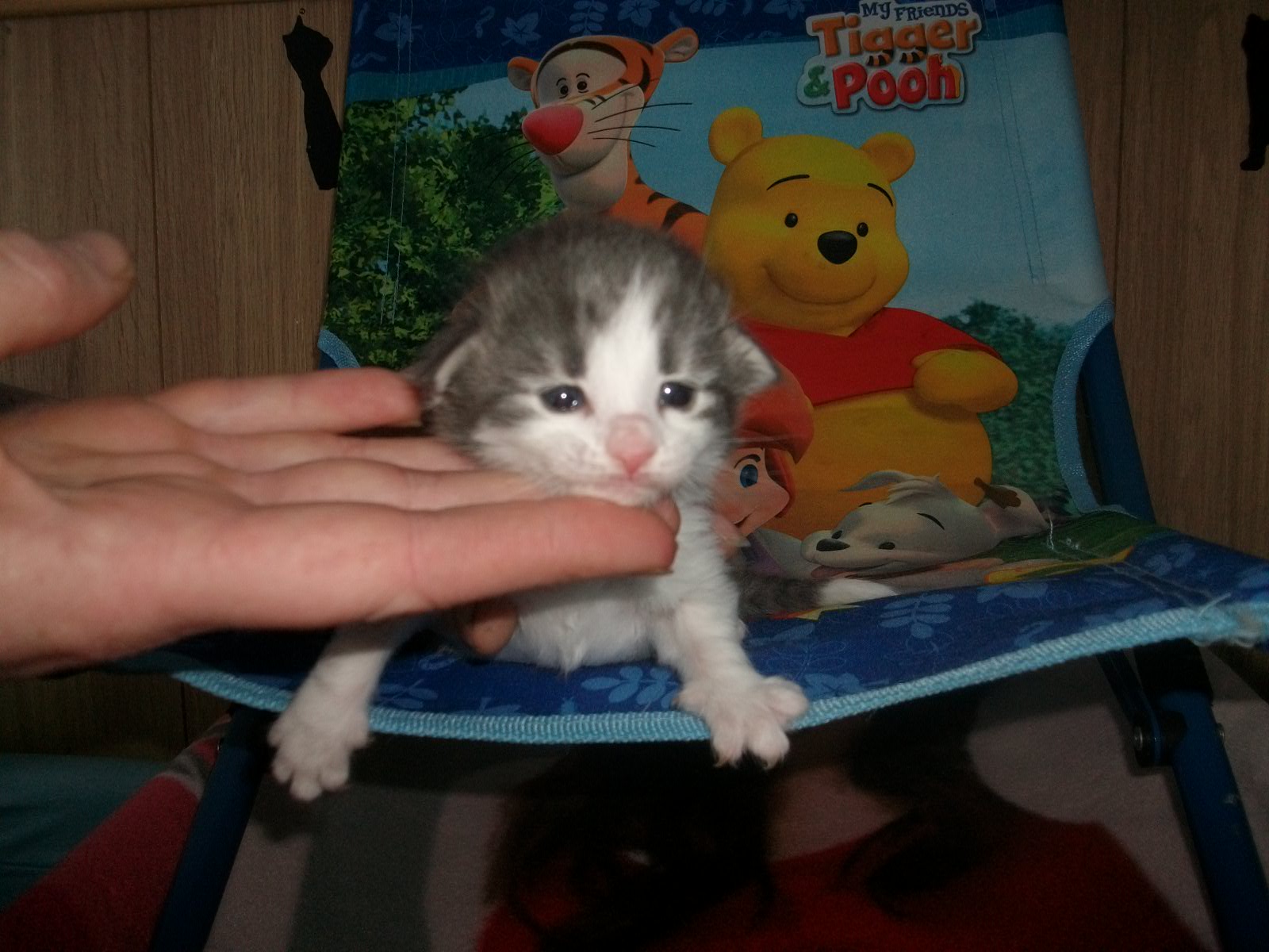 Imgp0269