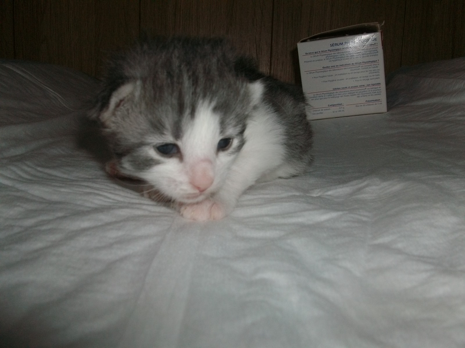 Imgp0224
