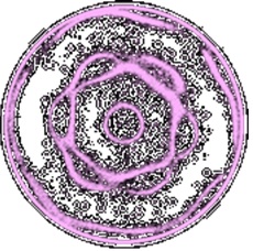 Forme voyelle rose