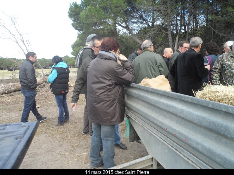 2015 03 14 st pierre 23 