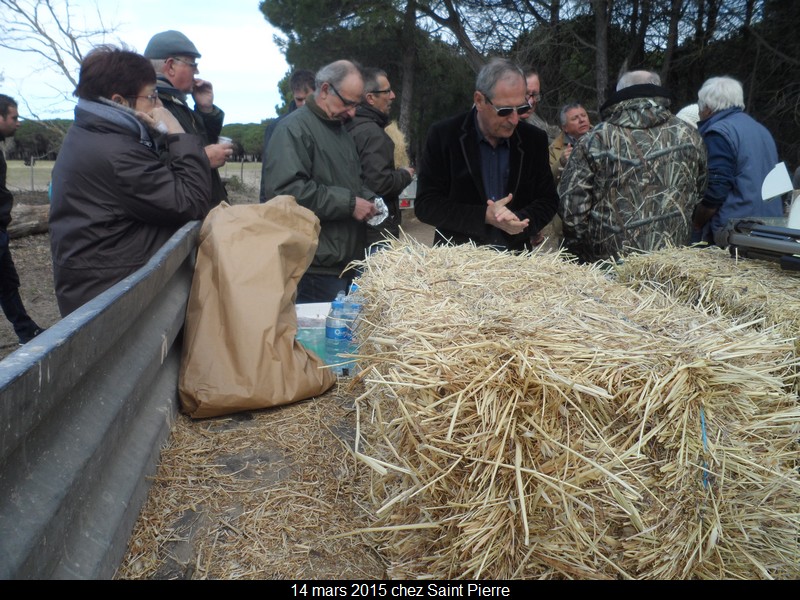 2015 03 14 st pierre 22 