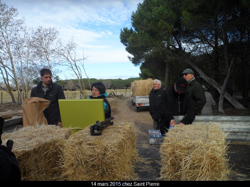 2015 03 14 st pierre 12 