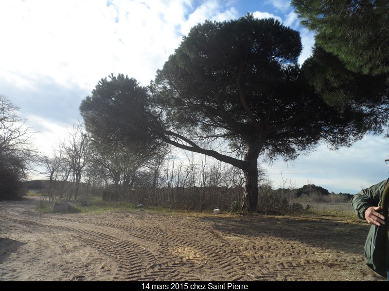 2015 03 14 st pierre 9 