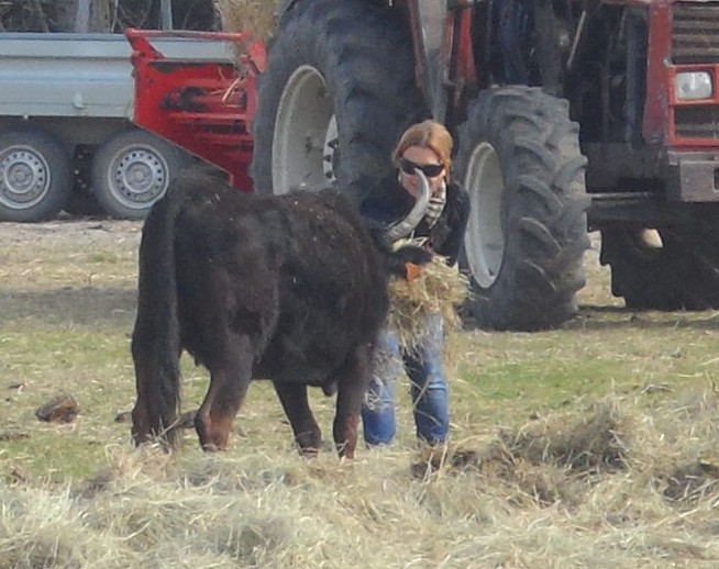 2015 03 14 Julie et la belle