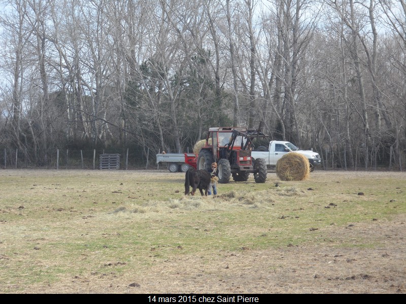 2015 03 14 st pierre 49 