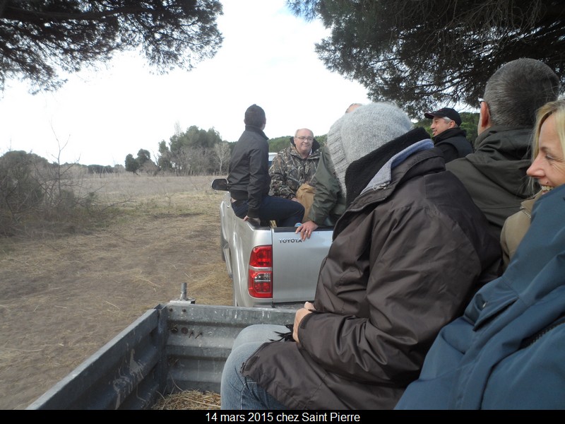 2015 03 14 st pierre 11 