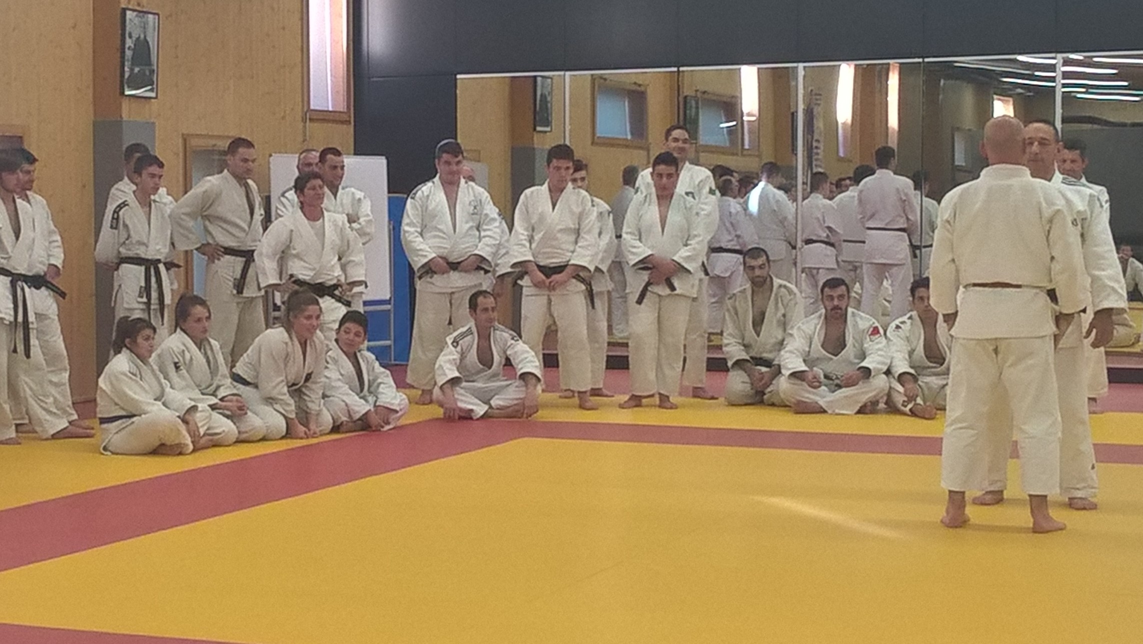 Stage katas 1115 2 