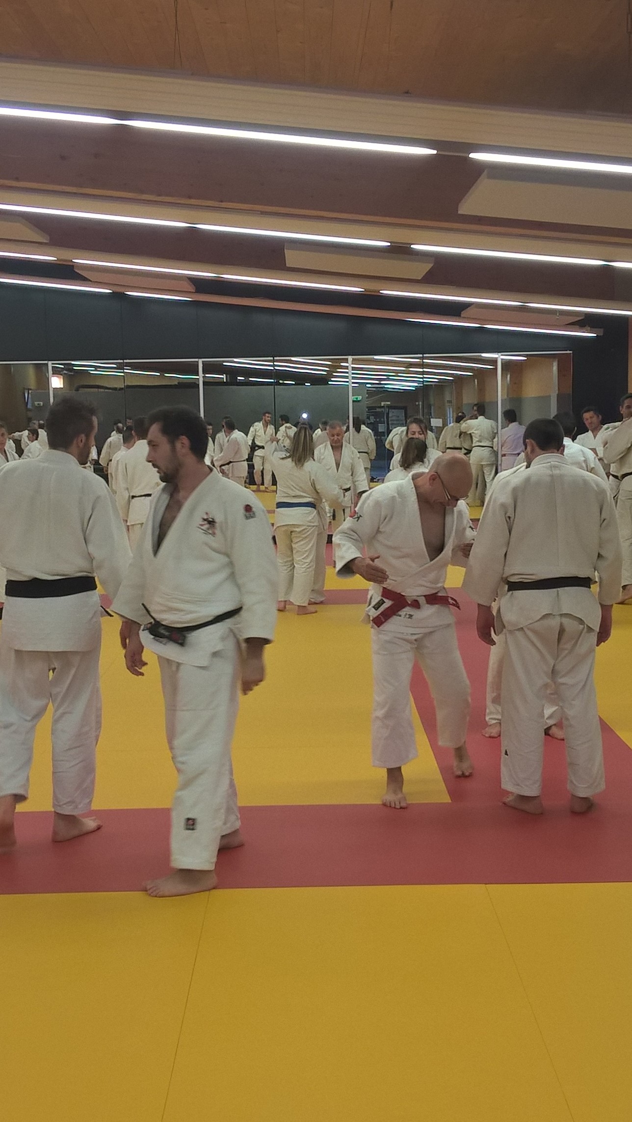 Stage katas 1115 5 