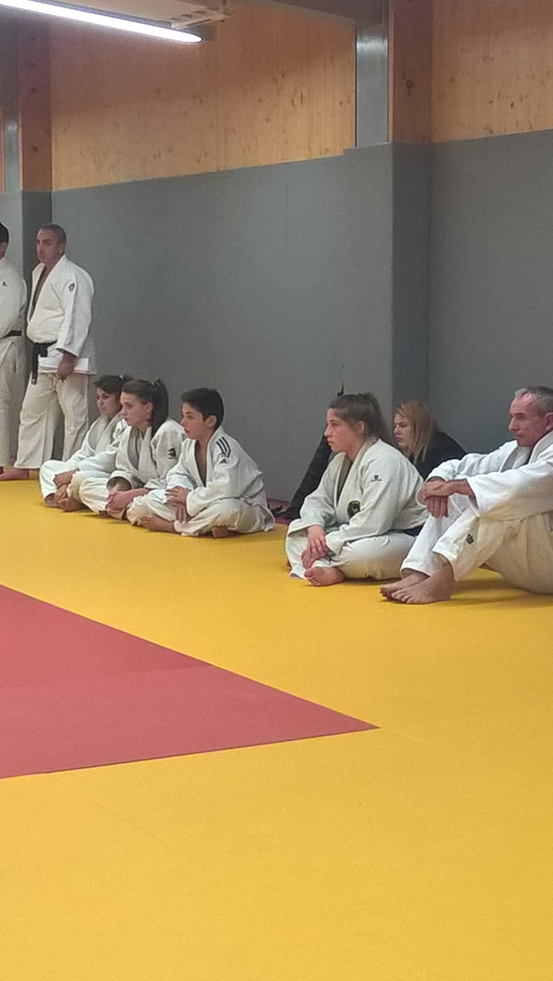 Stage katas 1115 7 