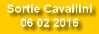 2016 02 06 Cavallini