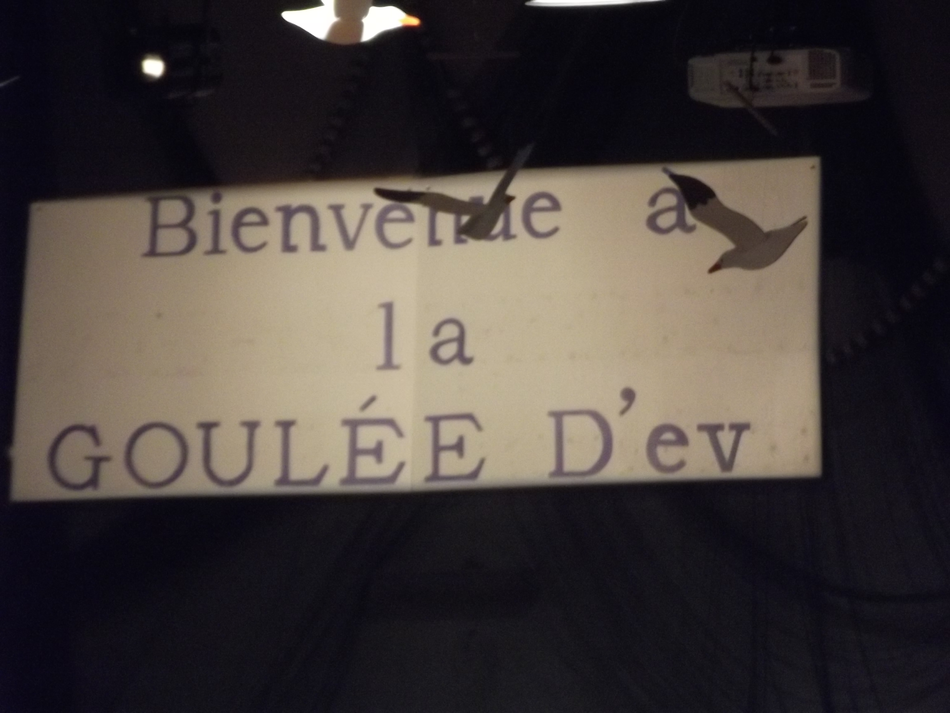 Dscf1068