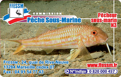 B88ac1 30c7f82c855a46ca89bef6fd9ffd12f1 png srz 394 252 85 22 0 50 1 20 0 00 png srz